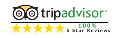 5-stars-review 3